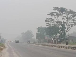 BMKG Waspadai Kabut Asap di Riau, 96 Hotspot Terdeteksi hingga Senin Malam